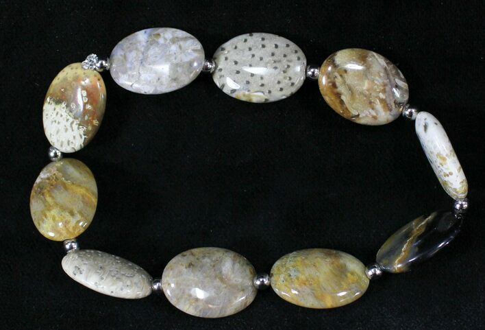 Polished Petrified Palmwood Bracelet #24660